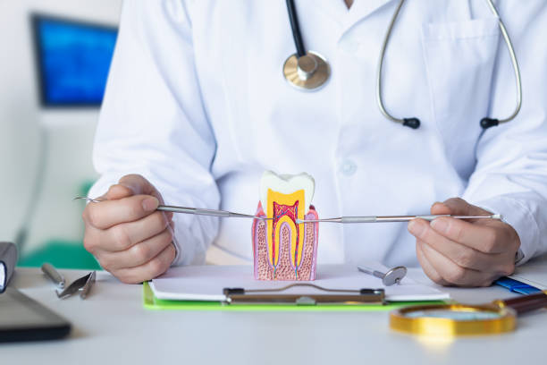 Best Chipped Tooth Repair Near Me  in Sandusky, OH